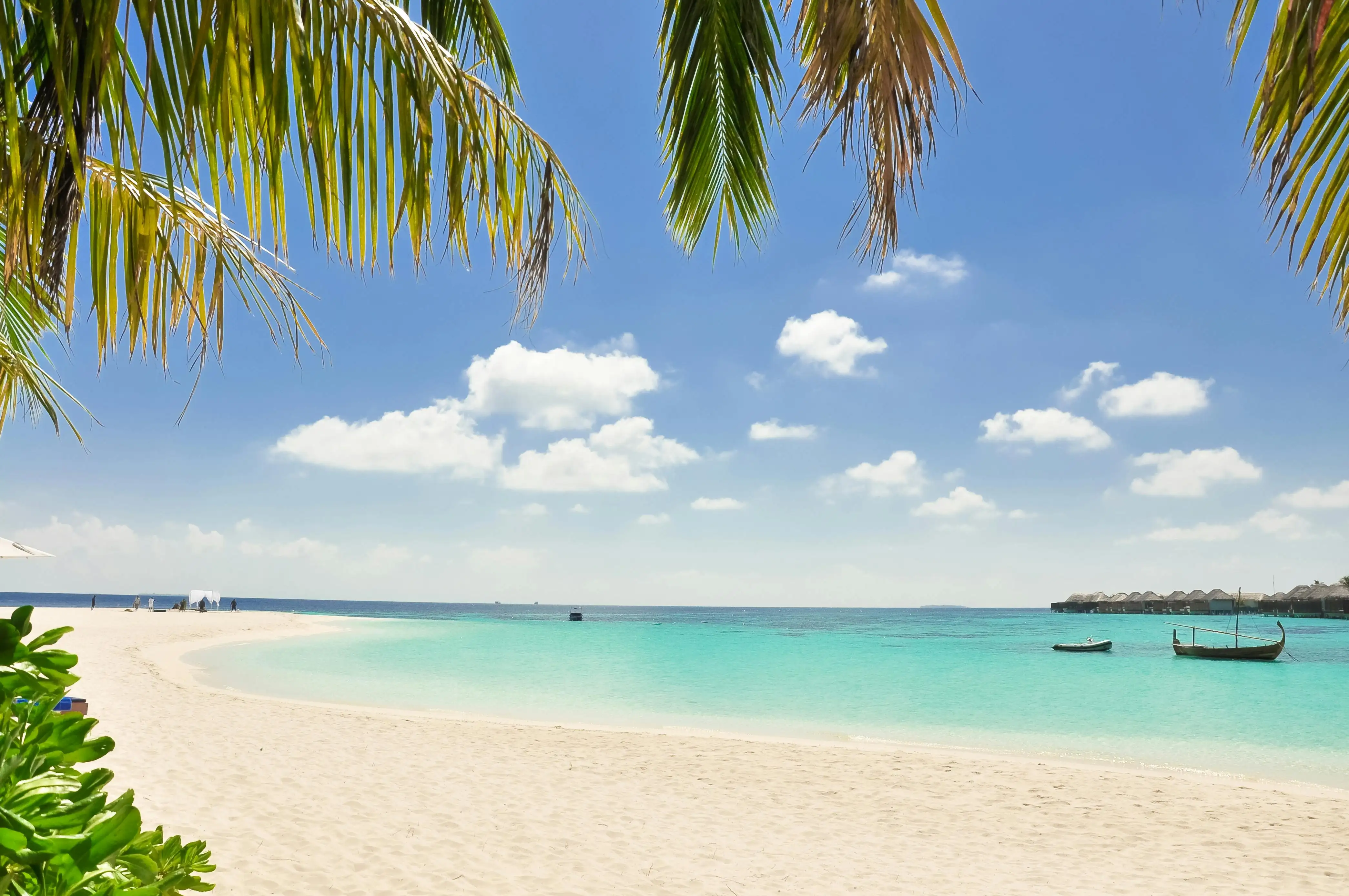 Caribbean