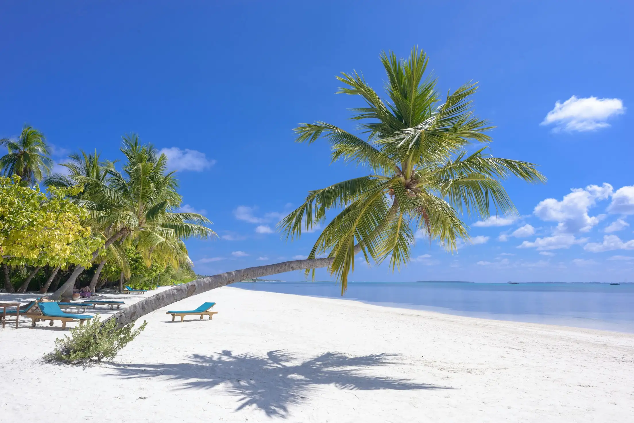 Indian Ocean