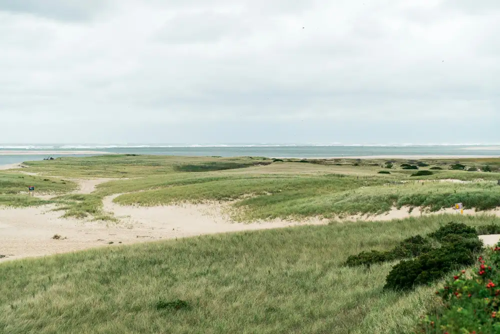 Cape Cod & The Islands