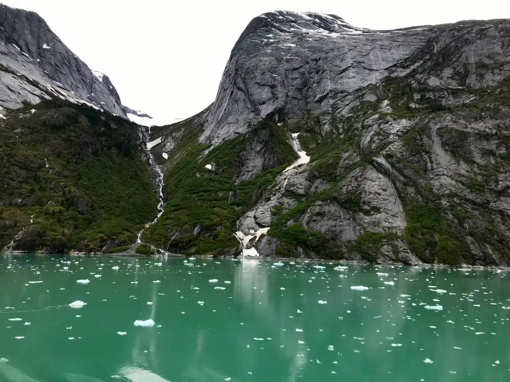 Tracy Arm / Endicott Arm
