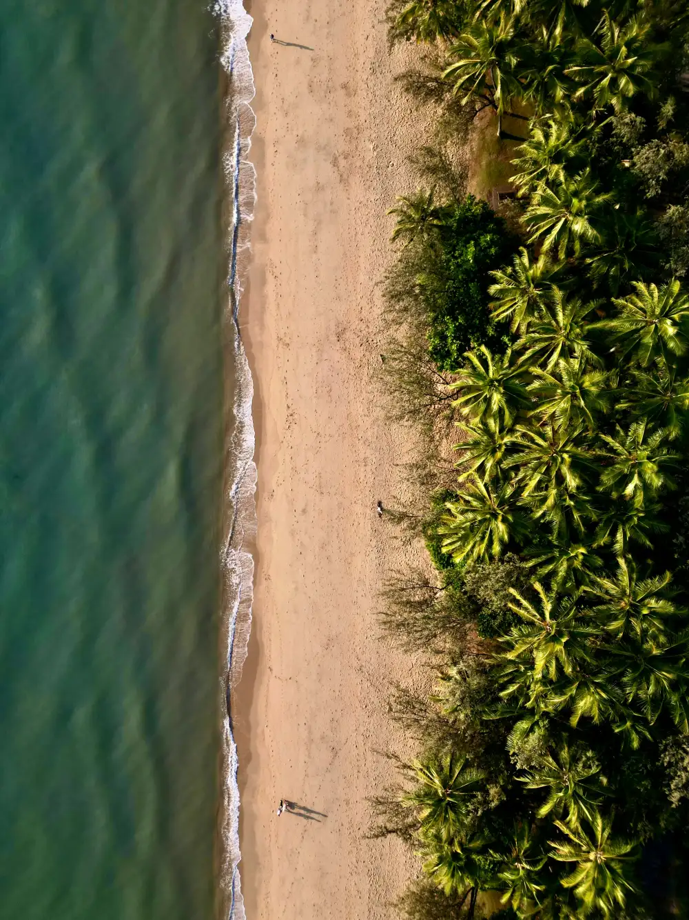 Tonga – Vava’u